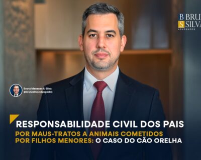 RESPONSABILIDADE CIVIL DOS PAIS POR MAUS-TRATOS A ANIMAIS COMETIDOS POR FILHOS MENORES: O CASO DO CÃO ORELHA