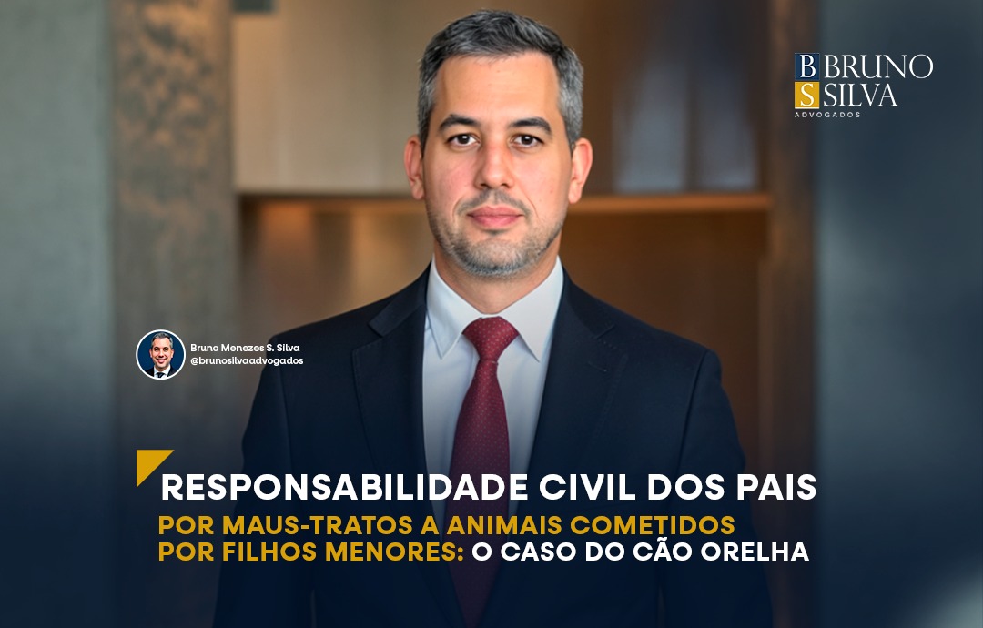 RESPONSABILIDADE CIVIL DOS PAIS POR MAUS-TRATOS A ANIMAIS COMETIDOS POR FILHOS MENORES: O CASO DO CÃO ORELHA